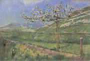 Ferdinand Hodler Apple tree in Blossom Spain oil painting artist